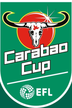 Сериал Ньюкасл Юнайтед &mdash; Арсенал